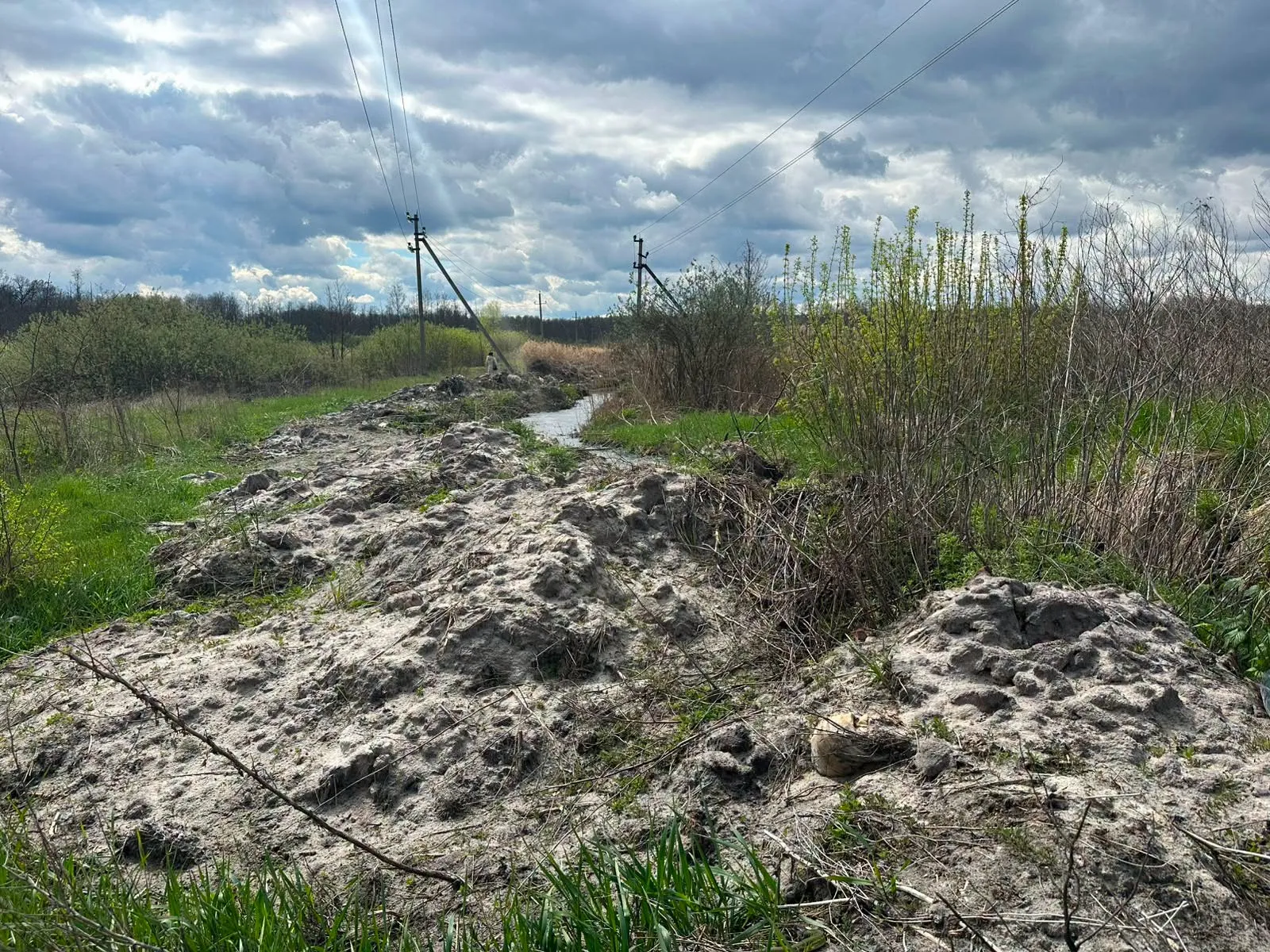 Комунальне підприємство на Полтавщині завдало шкоди довкіллю на понад 500 тисяч гривень