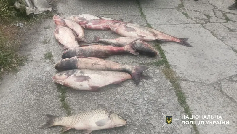 У Градизькій громаді викрили чоловіка, який незаконно виловив риби на понад 138 тисяч гривень
