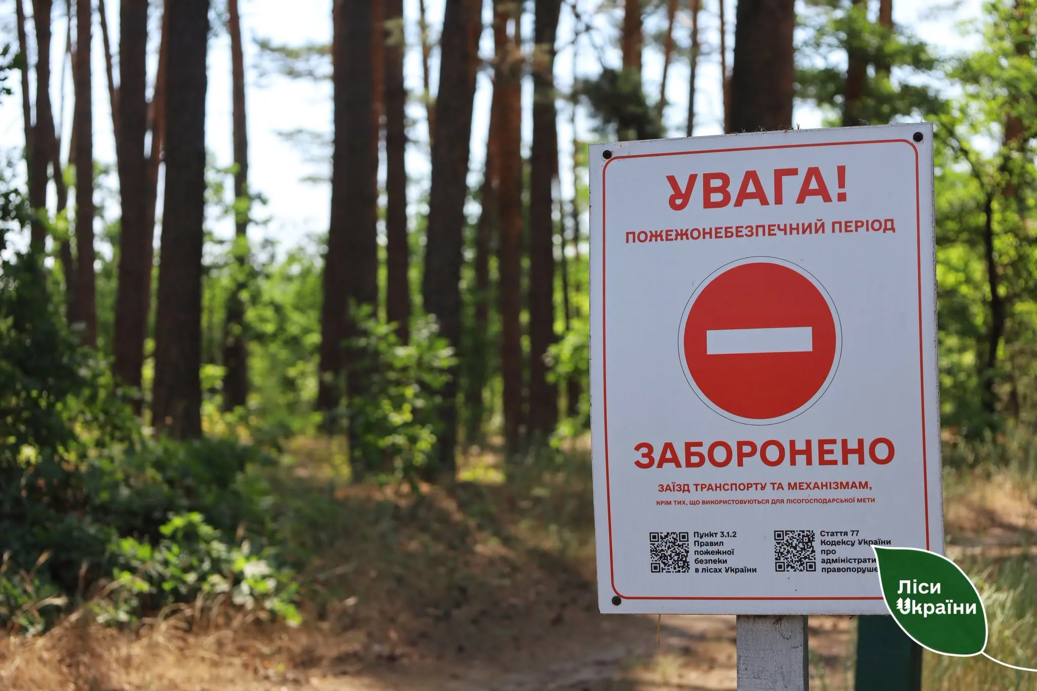 У Полтавській області тимчасово заборонили відвідувати ліси