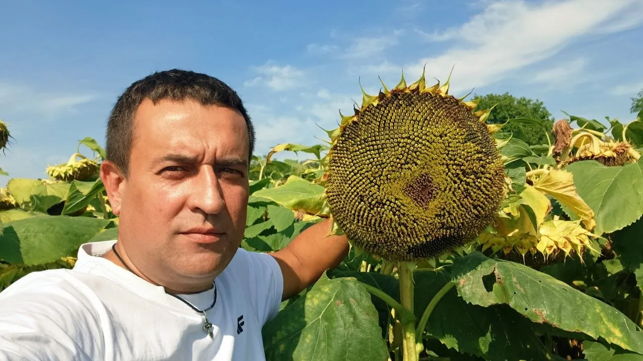 Як війна та блокування портів впливають на фермерів Полтавщини