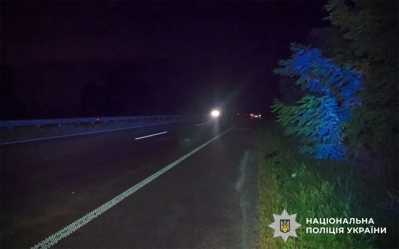 Під Полтавою автомобіль збив пішохода з собакою