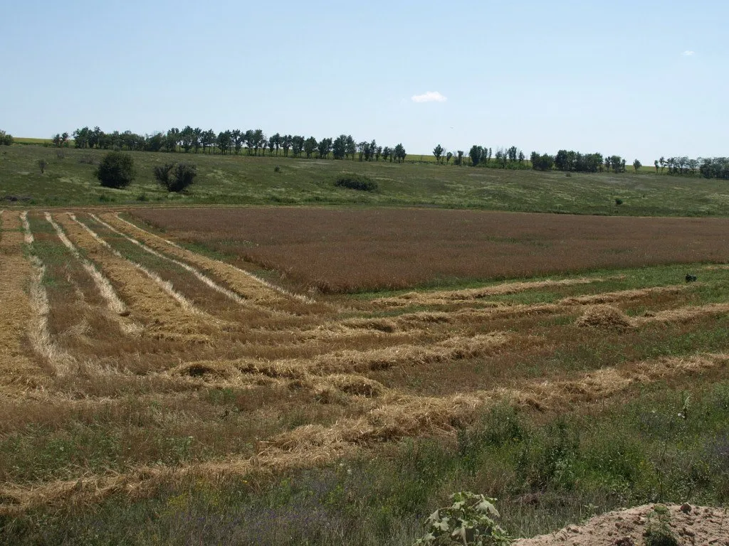 На Полтавщині понад 100 гектарів землі повернули державі