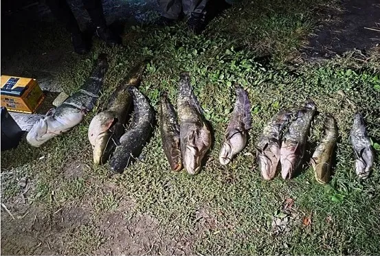 У Полтавській області затримали рибного браконьєра