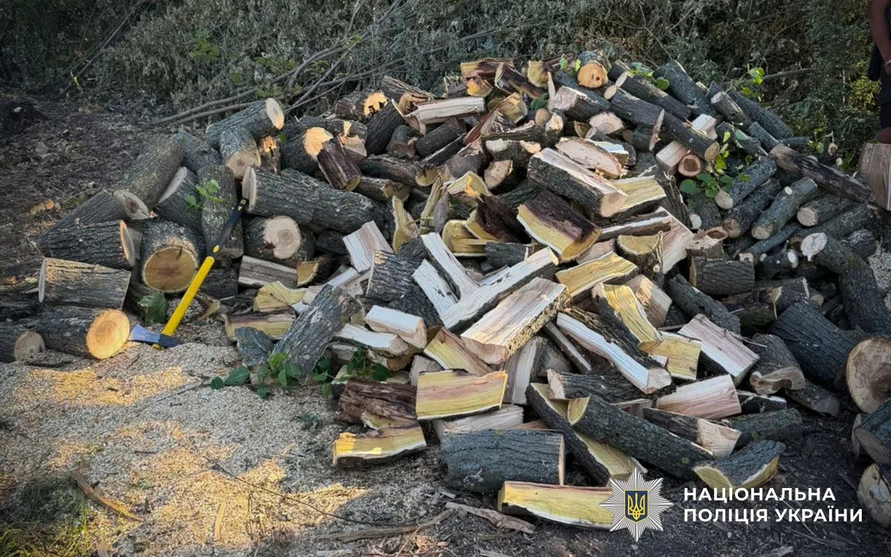 У Полтавській області виявили незаконну вирубку дерев