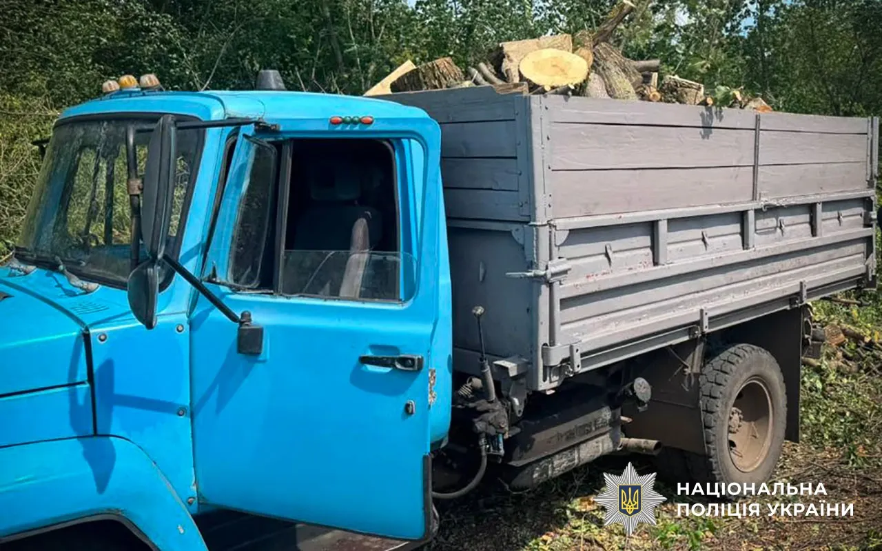 На Полтавщині викрили чоловіків, які незаконно вирубали дерев на понад 2 мільйони гривень