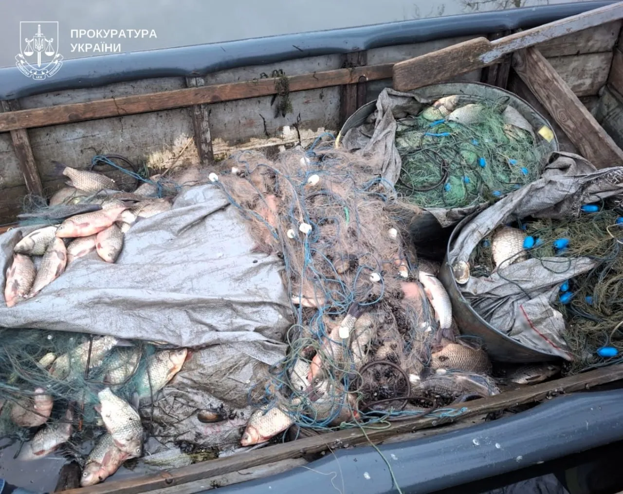 За незаконну риболовлю з мільйонними збитками судитимуть двох чоловіків з Кобеляцької громади
