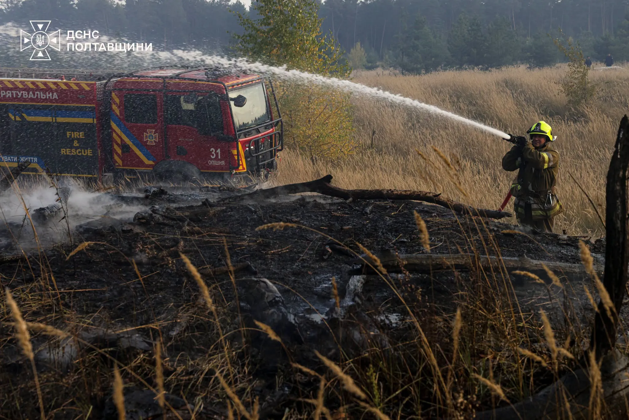 У Полтавському районі горів ліс