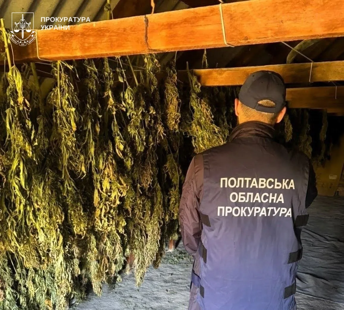 На Полтавщині викрили групу, у якої вилучили понад 200 кг канабісу