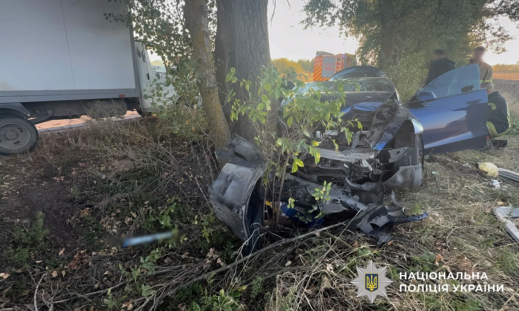 ДТП на Полтавщині: поранені дві жінки та двоє дітей